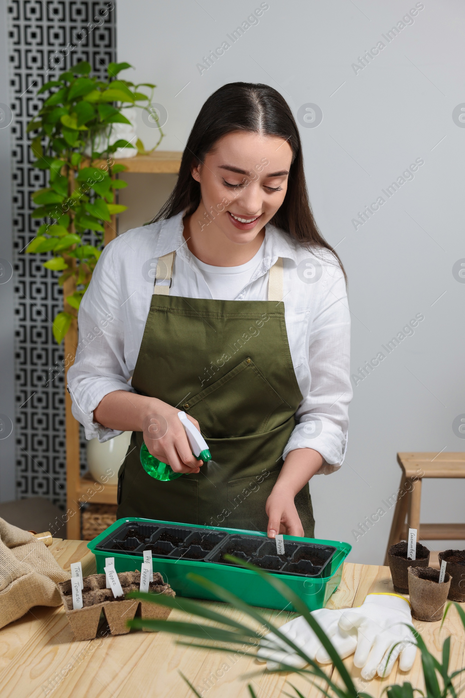 Photo of Young woman spraying water onto vegetable seeds in pots at wooden table indoors