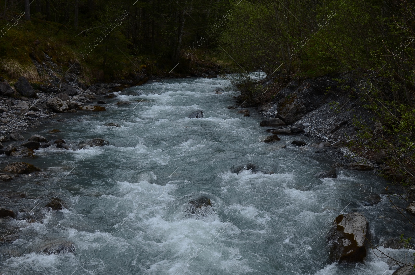 Photo of Beautiful view of river flowing among forest in mountains