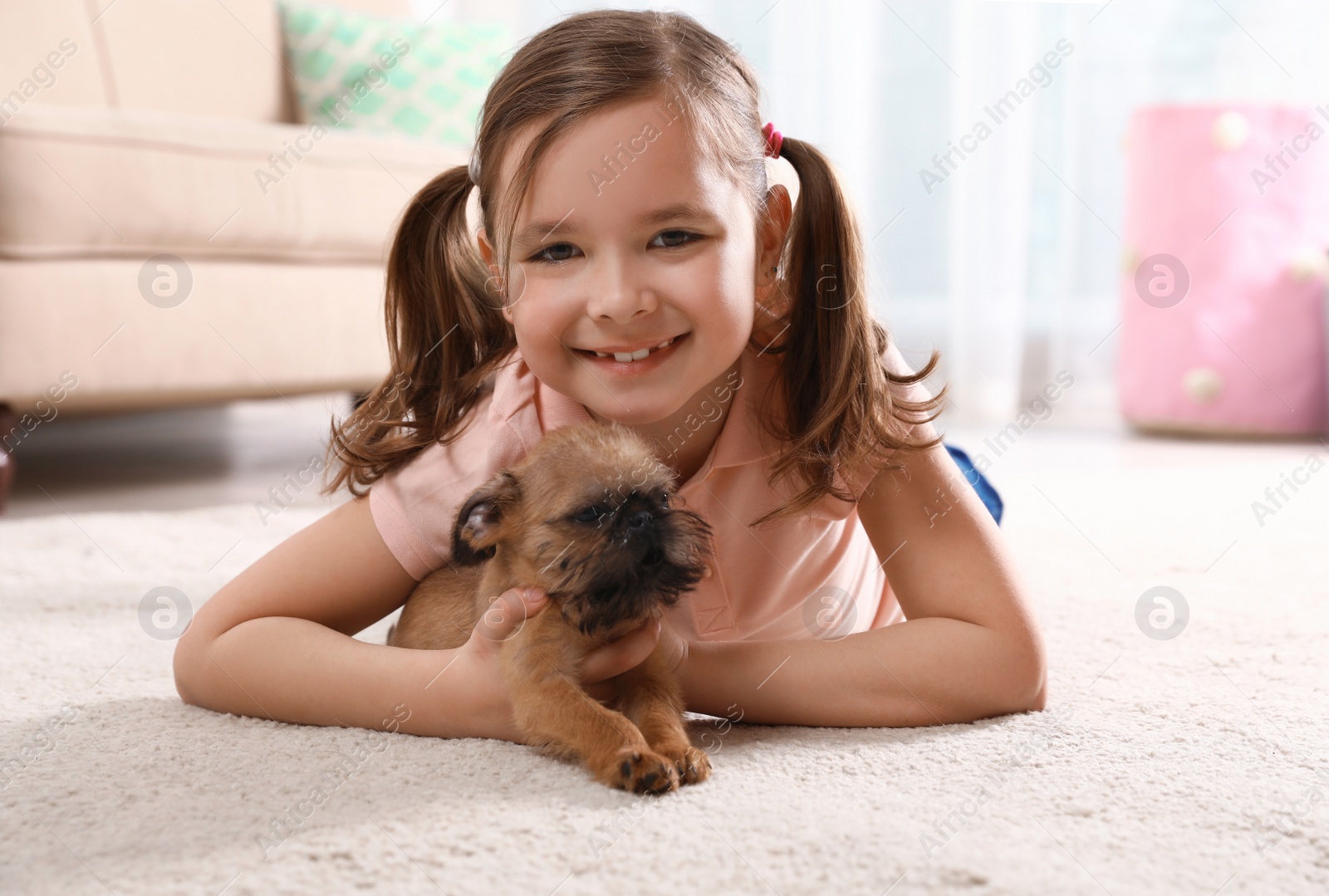 Photo of Portrait of cute girl with funny Brussels Griffon dog at home. Loyal friends