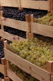 Photo of Fresh ripe grapes in wooden crates at wholesale market