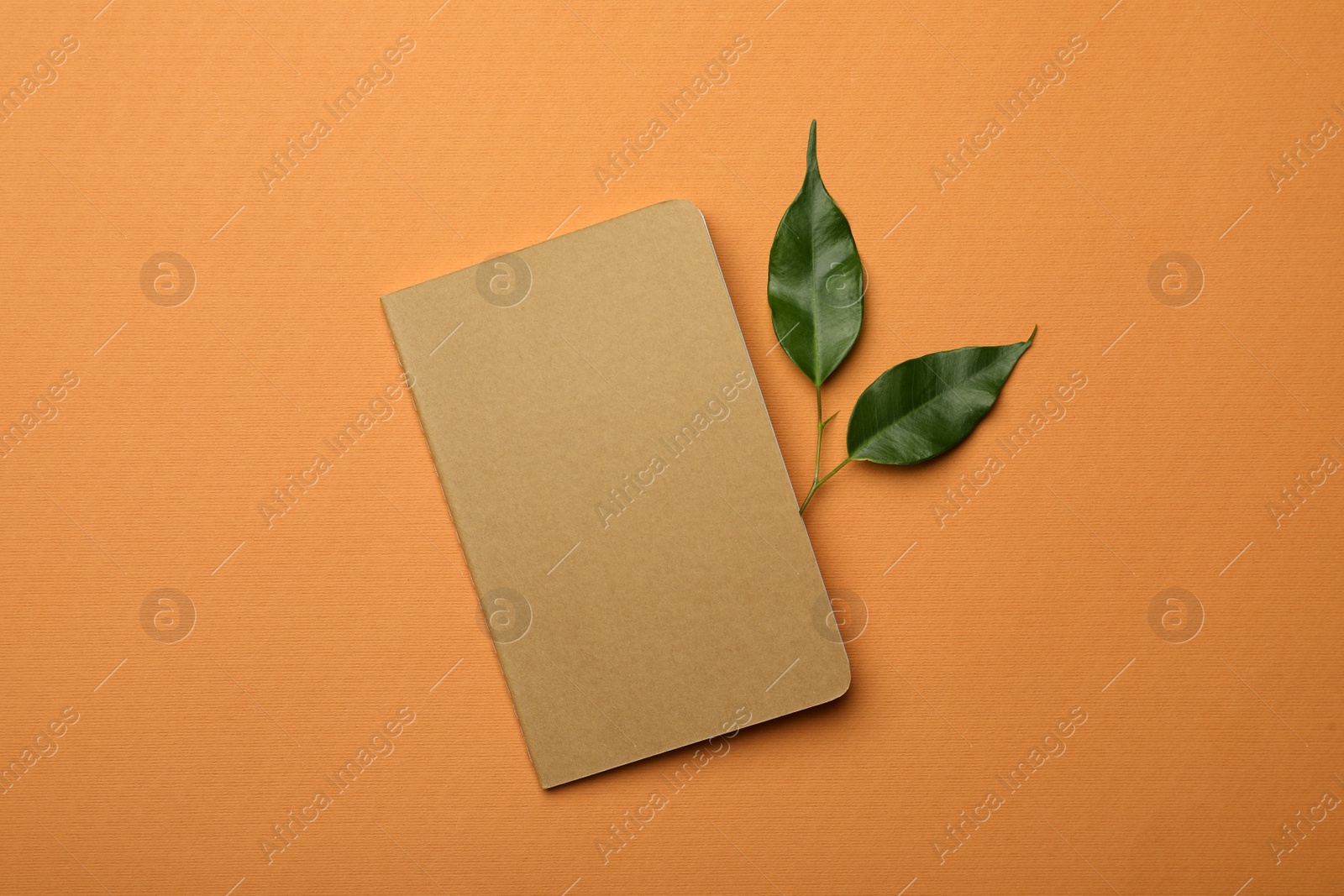 Photo of Kraft planner and green leaves on orange background, flat lay