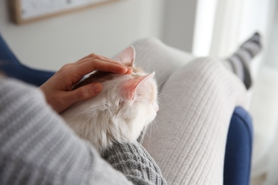 Woman with cute fluffy cat indoors, closeup