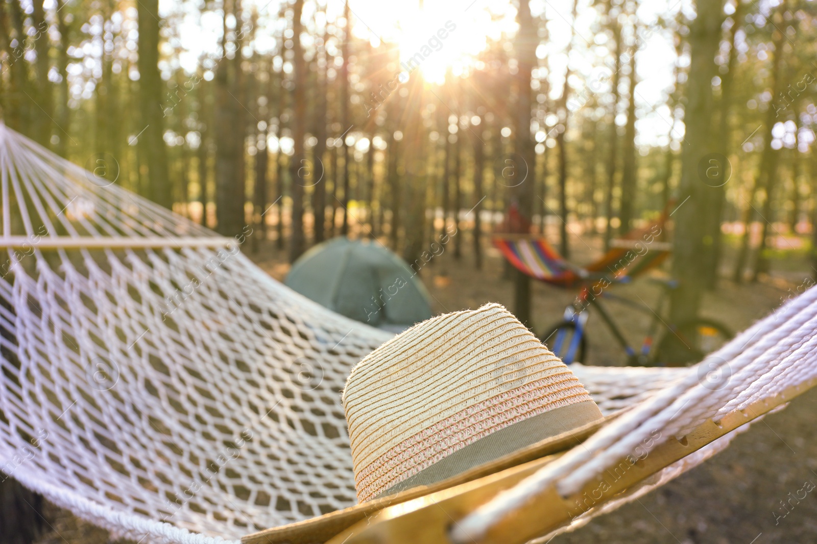 Photo of Hammock with hat in forest on summer day