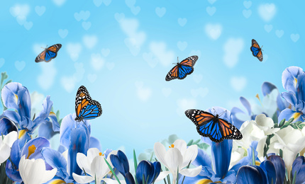 Image of Beautiful blooming flowers and amazing fragile monarch butterflies