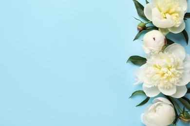 Photo of Fragrant peonies on color background, flat lay with space for text. Beautiful spring flowers