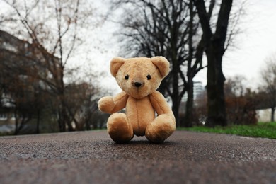 Lonely teddy bear on asphalt road outdoors