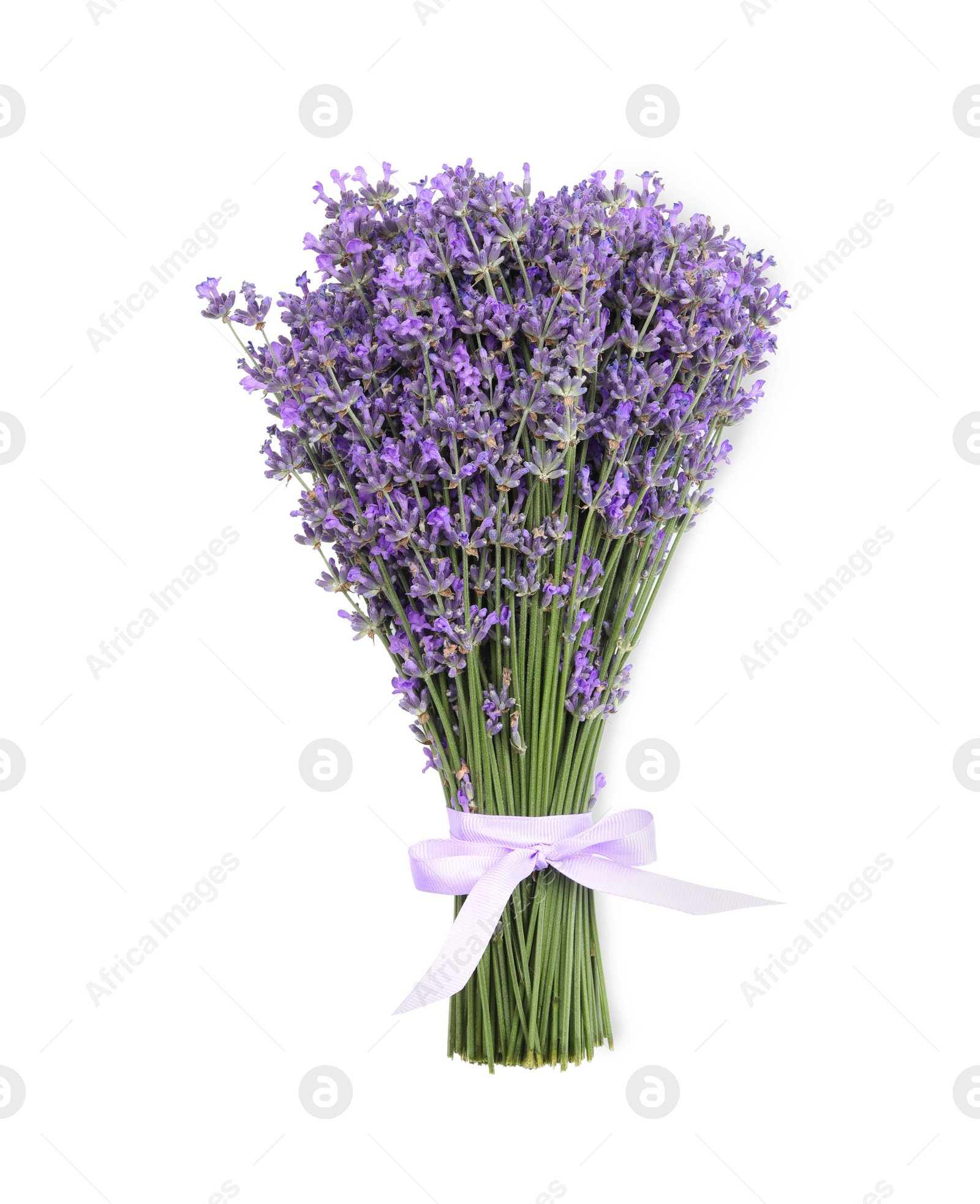 Photo of Beautiful bouquet of lavender flowers on white background, top view