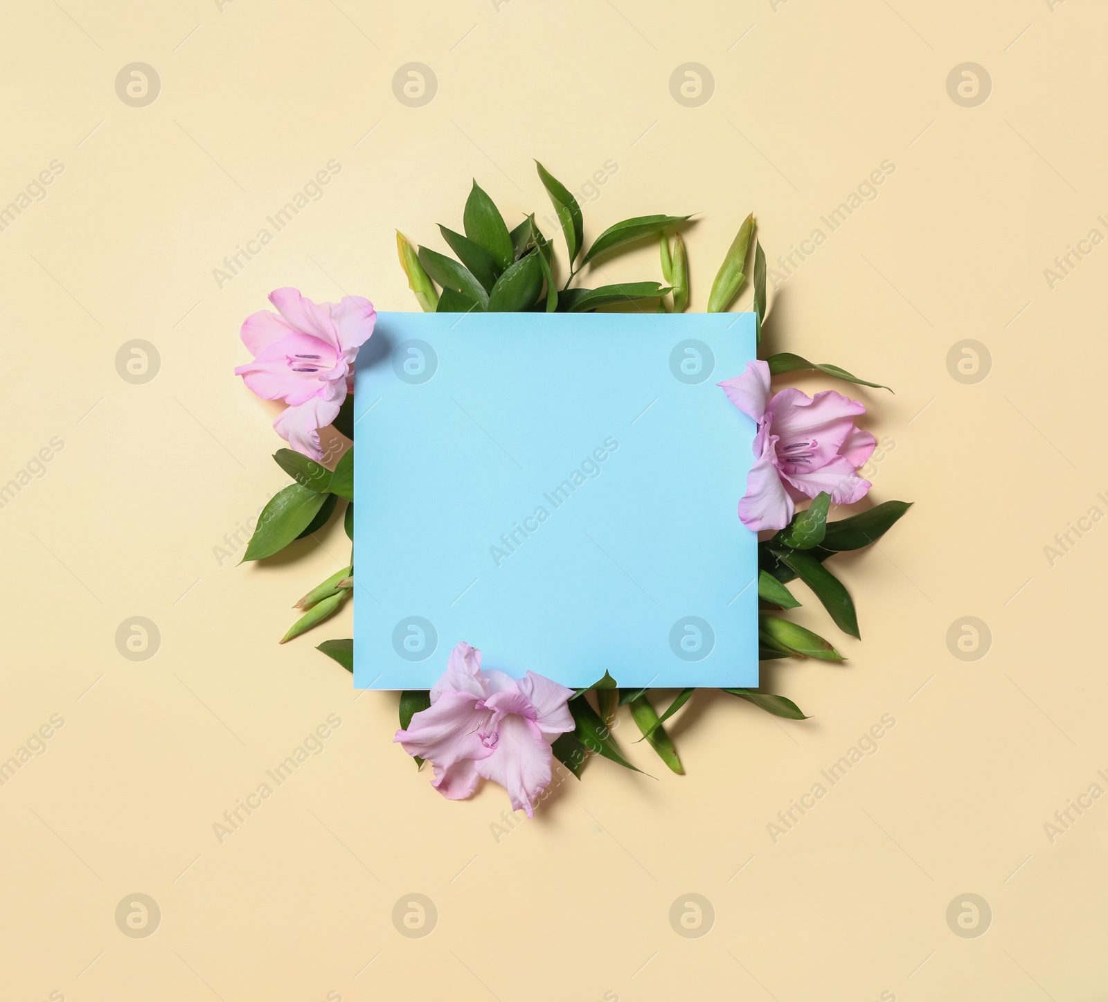 Photo of Beautiful gladiolus flowers and blank card on yellow background, flat lay. Space for text