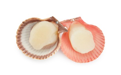 Fresh raw scallops in shells isolated on white, top view