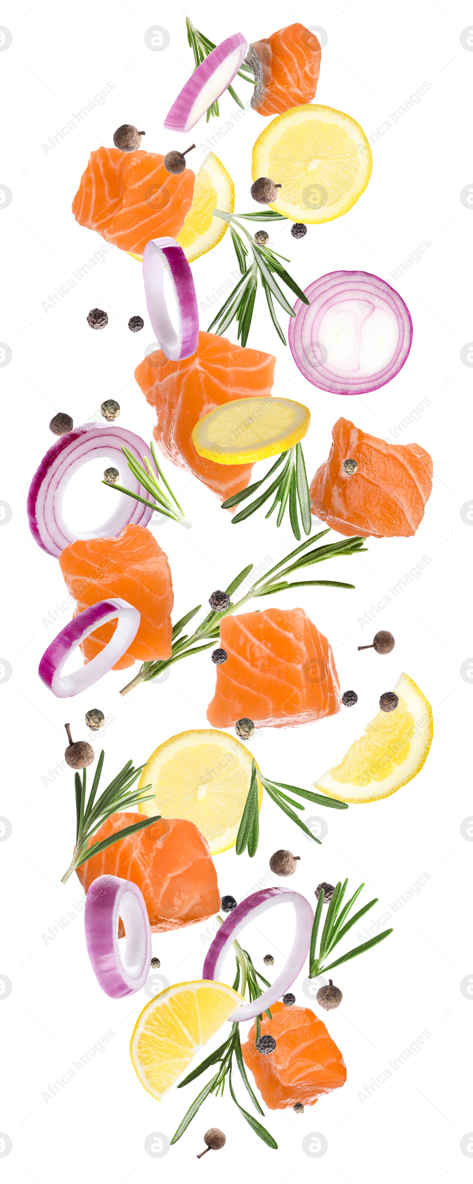 Image of Pieces of delicious fresh raw salmon and different spices on white background. Vertical banner design 