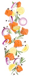 Image of Piecesdelicious fresh raw salmon and different spices on white background. Vertical banner design 