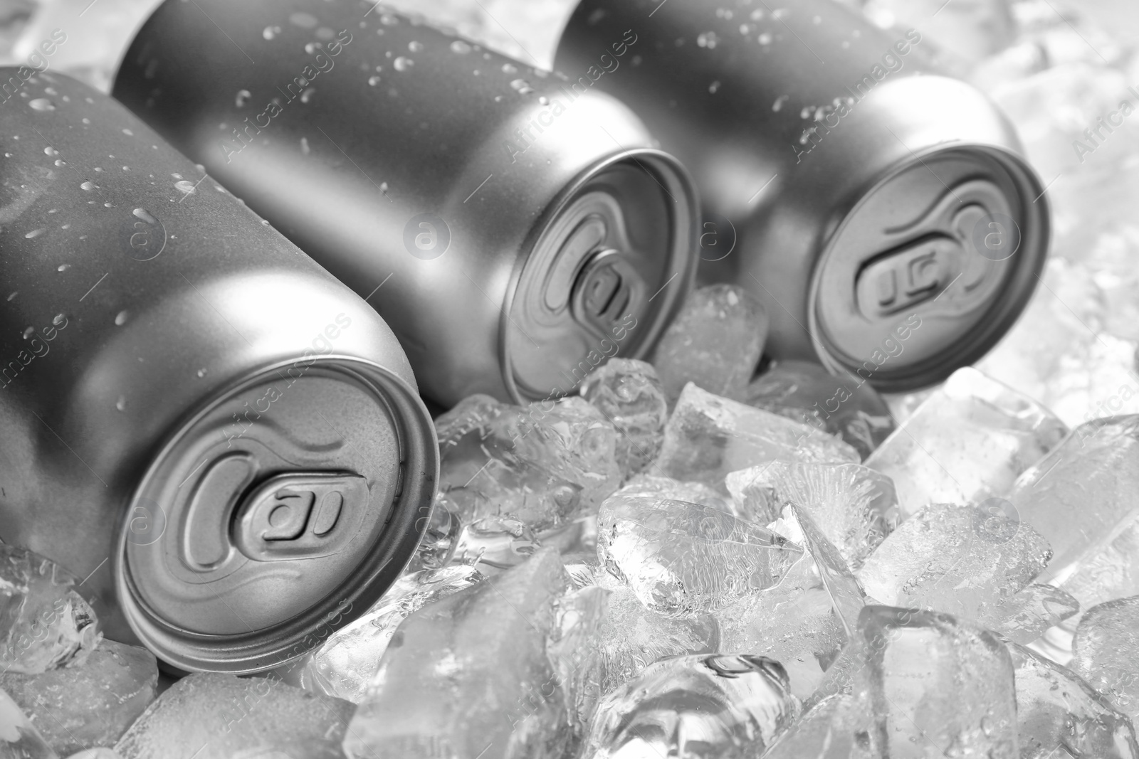 Photo of Tin cans on pile of ice cubes