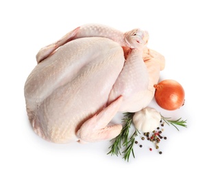 Photo of Raw turkey with ingredients on white background