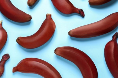 Photo of Tasty red baby bananas on light blue background, flat lay