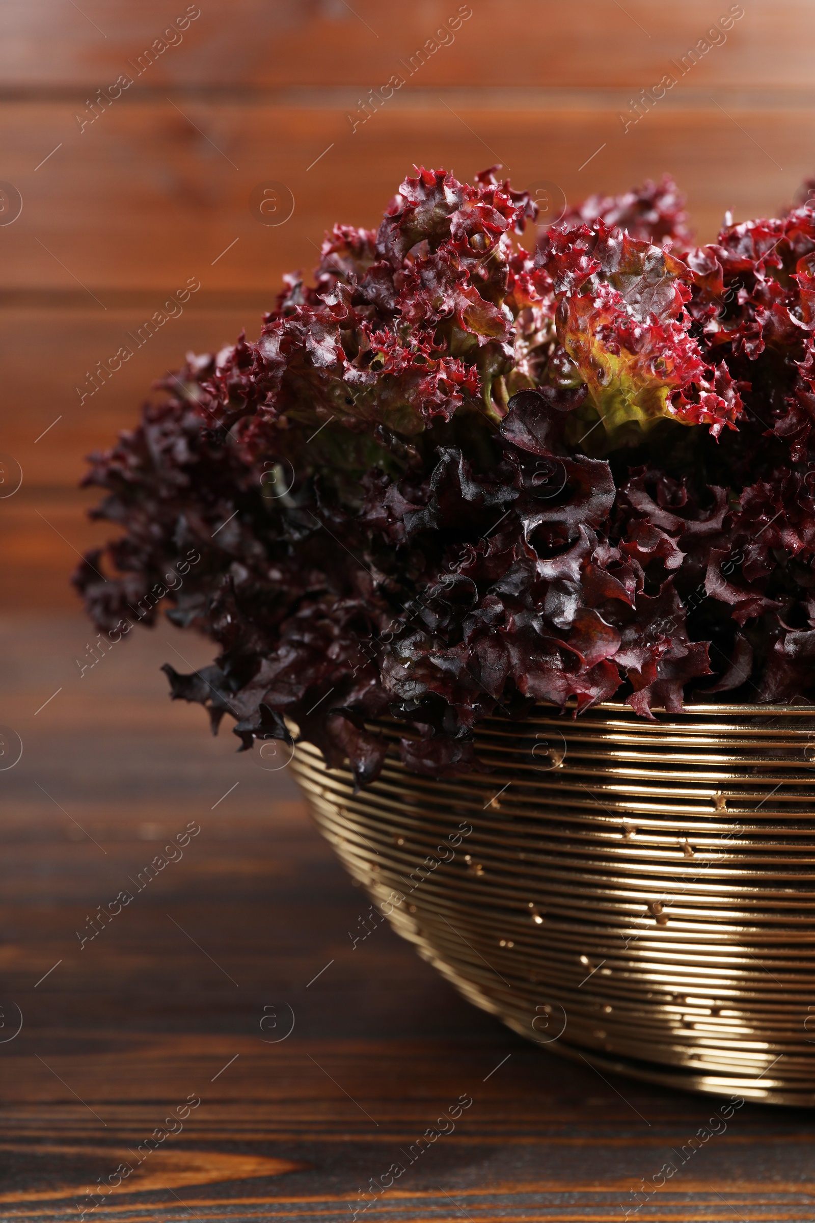 Photo of Bowl with fresh red coral lettuce on wooden table