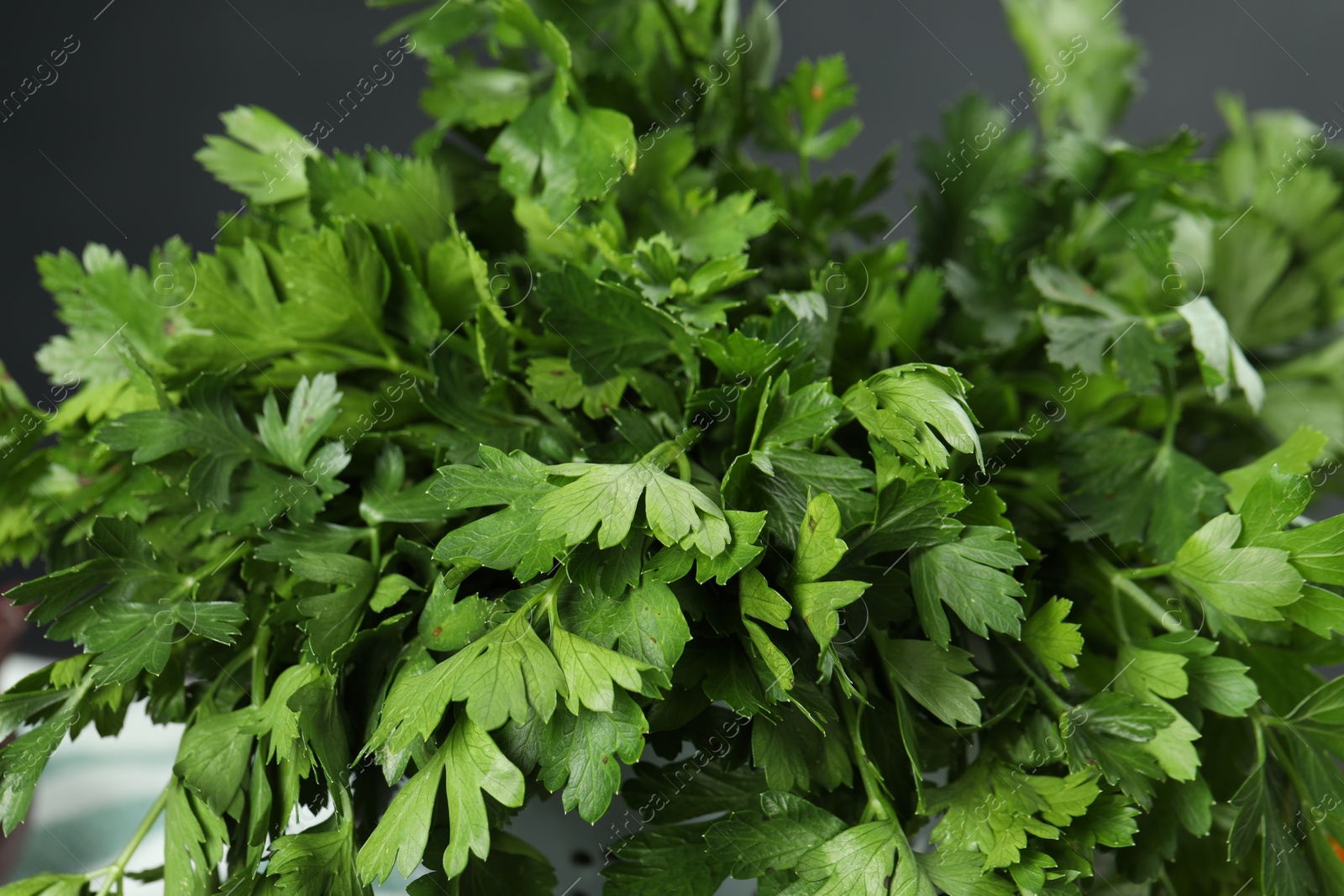 Photo of Fresh green parsley leaves on blurred background, closeup