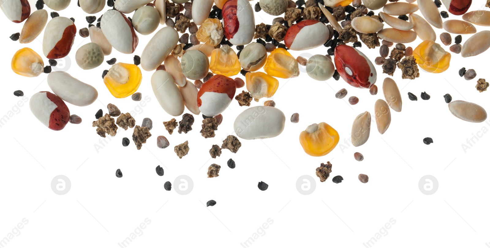 Photo of Mix of vegetable seeds on white background, top view