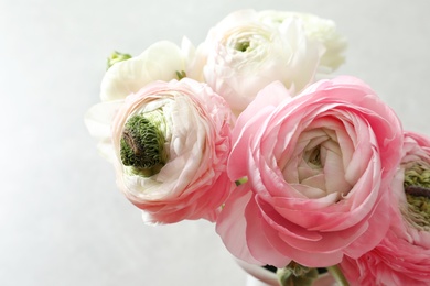 Photo of Beautiful ranunculus flowers on light background, closeup