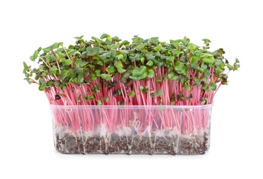 Photo of Fresh organic microgreen in plastic container on white background