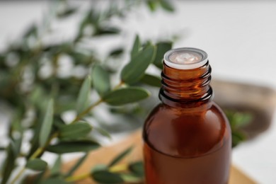 Photo of Bottle of eucalyptus essential oil and plant branches against blurred background, closeup. Space for text