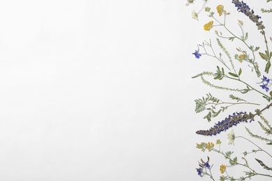 Wild dried meadow flowers on white background, top view