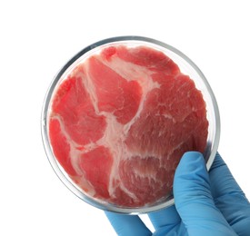 Photo of Scientist holding Petri dish with piece of raw cultured meat on white background, top view