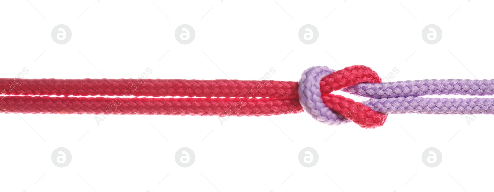 Photo of Colorful ropes tied together with knot isolated on white. Unity concept