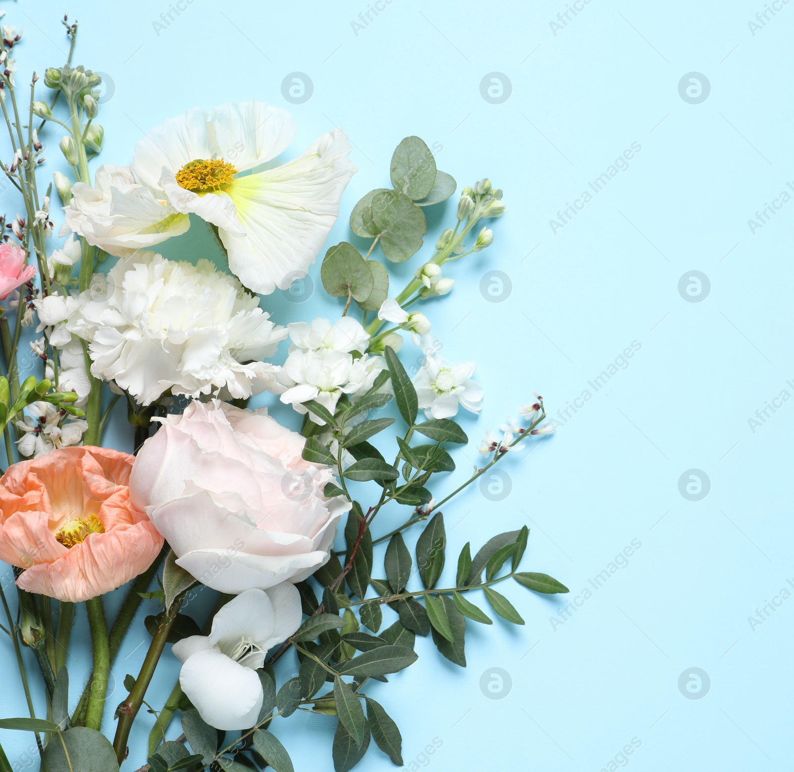Photo of Different beautiful flowers on light blue background, flat lay. Space for text