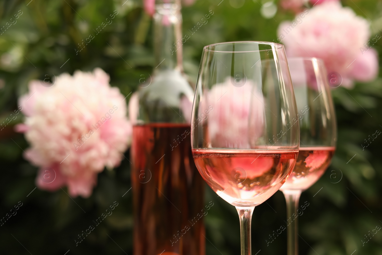 Photo of Glasses and bottle with rose wine against beautiful peonies, closeup. Space for text