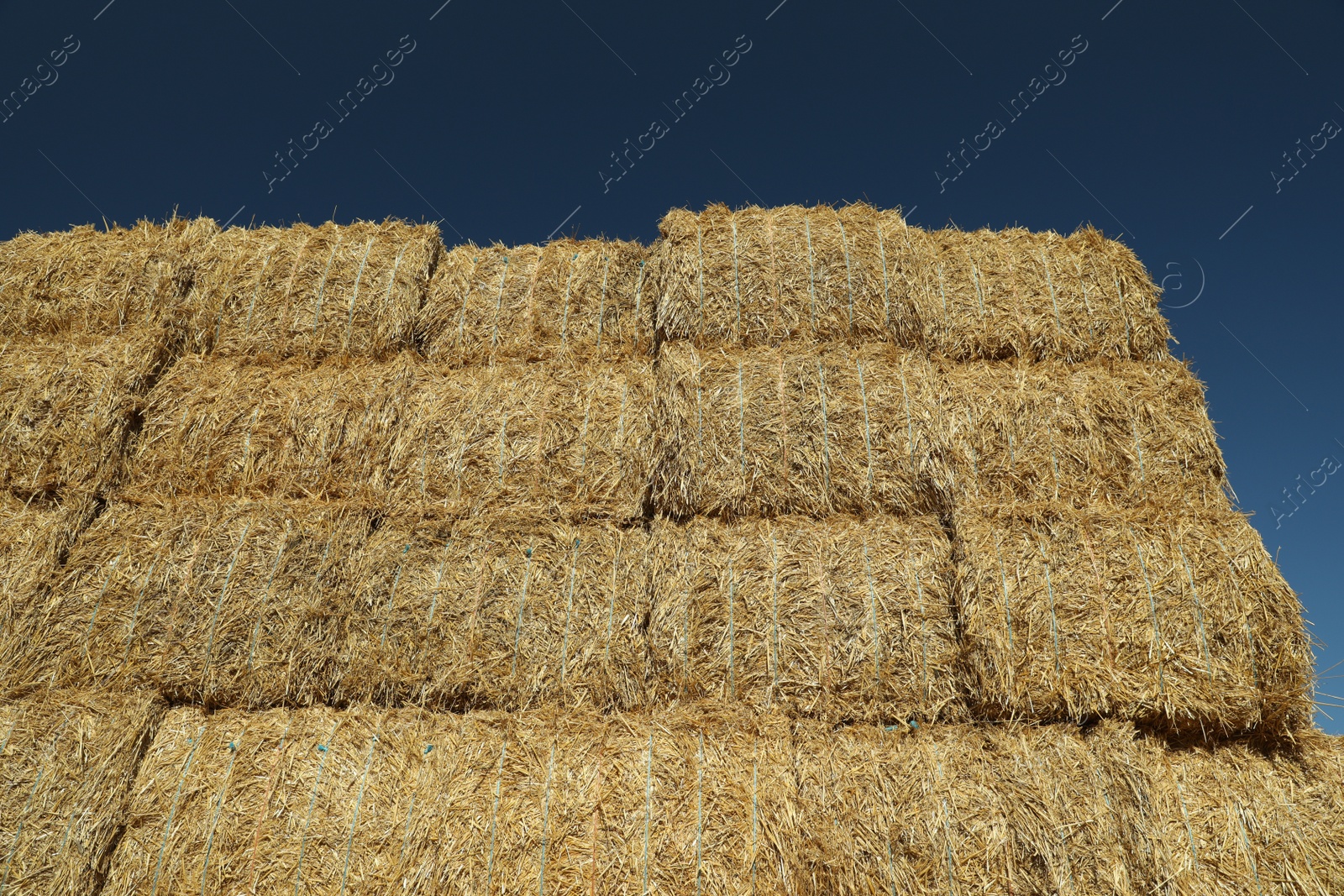 Photo of Many hay bales against blue sky, low angle view