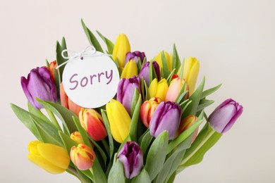 Image of Apology. Bouquet of colorful tulips with Sorry label on white background, closeup