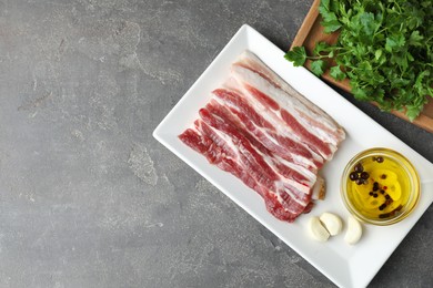 Pieces of raw pork belly, oil, parsley and garlic on grey textured table, top view. Space for text