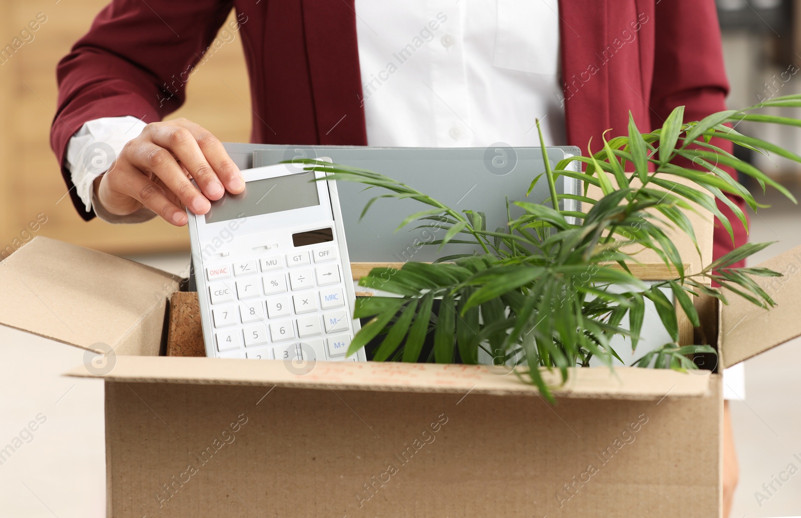 Photo of Unemployment problem. Woman with box of personal belongings in office, closeup