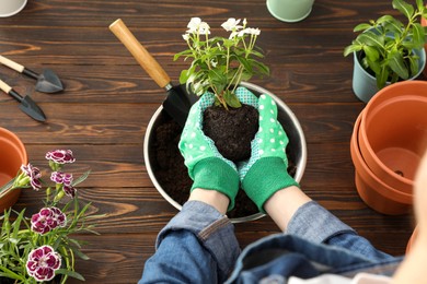 Transplanting. Woman with flowers and empty pots at wooden table, above view