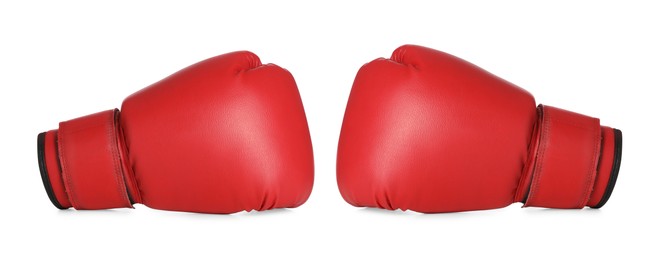 Image of Red boxing gloves on white background. Banner design