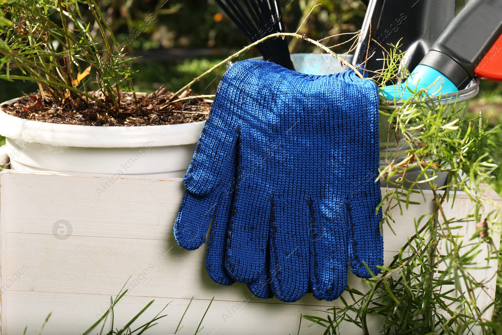 Photo of Wooden crate with gardening gloves, tools and potted plant outdoors, closeup