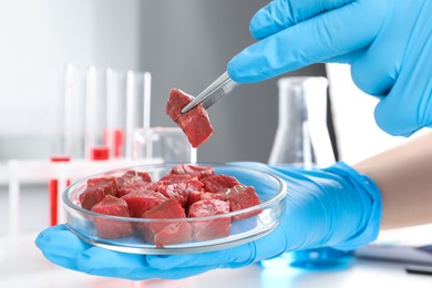 Scientist taking raw cultured meat out of Petri dish with tweezers in laboratory, closeup