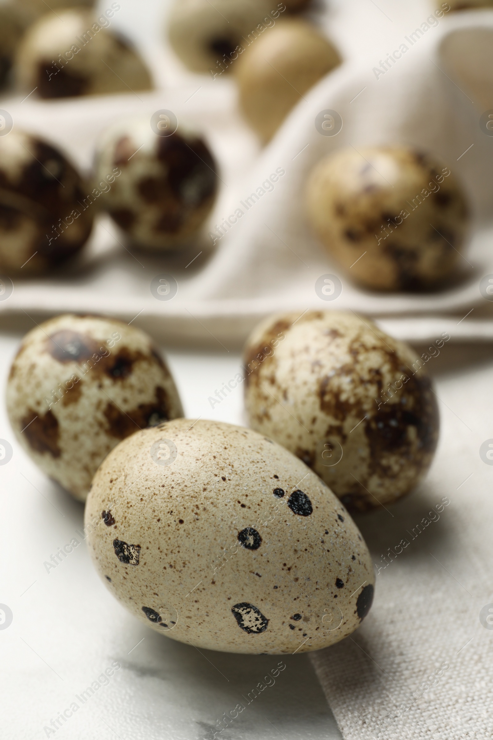 Photo of Many speckled quail eggs on white table