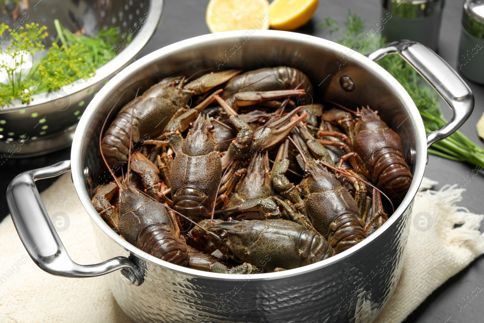 Photo of Fresh raw crayfishes in pot on table, closeup