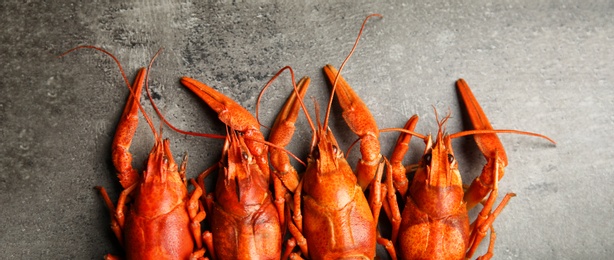 Image of Delicious boiled crayfishes on grey table, flat lay. Banner design