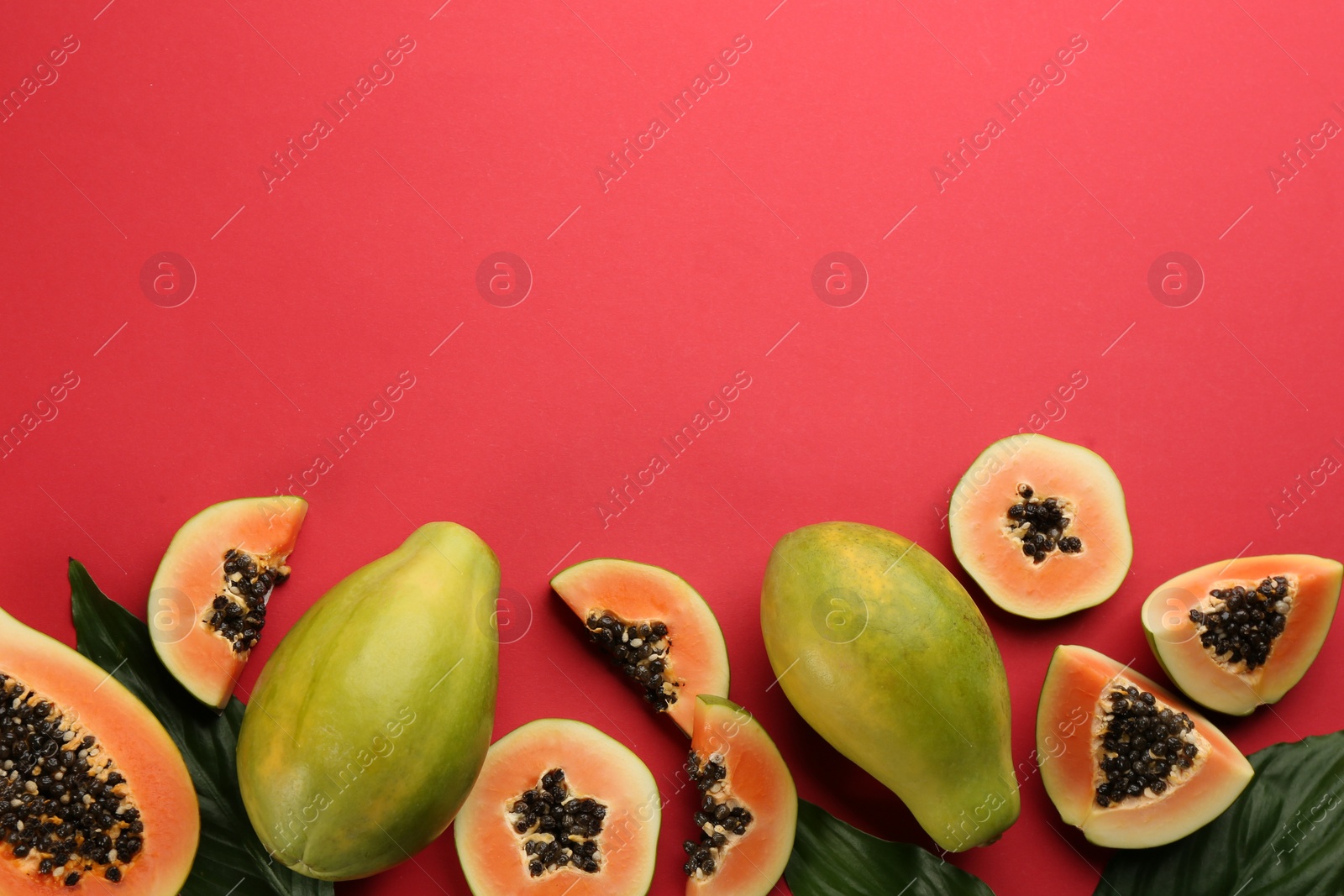 Photo of Fresh ripe papaya fruits with green leaves on red background, flat lay. Space for text