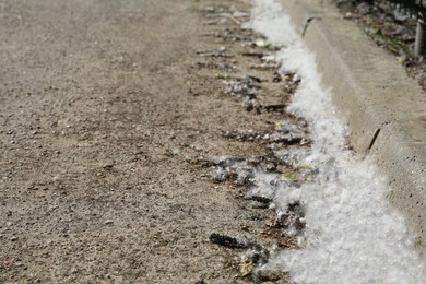 Photo of Poplar fluff on asphalt road near kerb, closeup