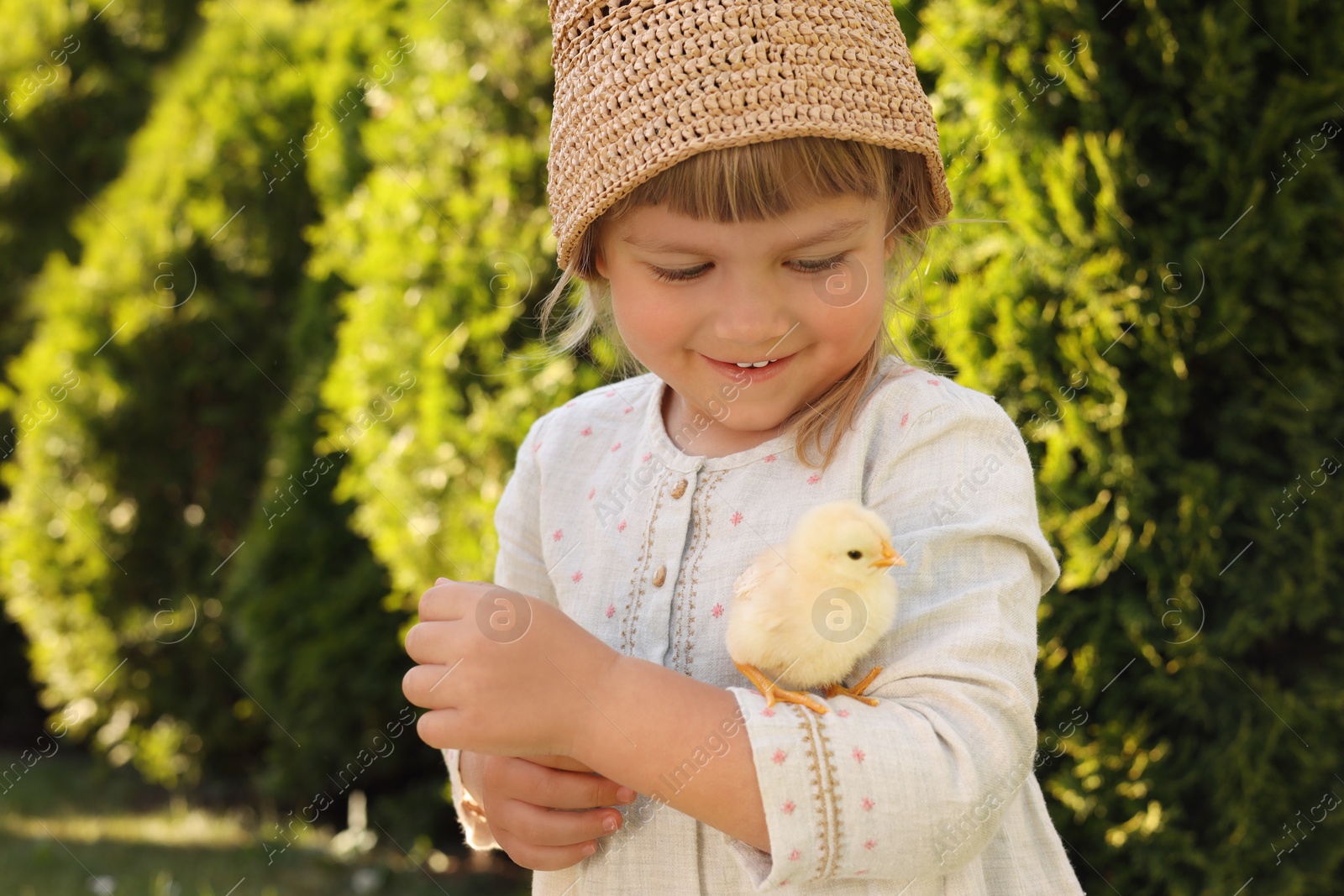 Photo of Cute little girl with chick outdoors. Baby animal