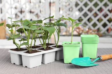 Vegetable seedlings growing in plastic containers with soil and trowel on light gray table