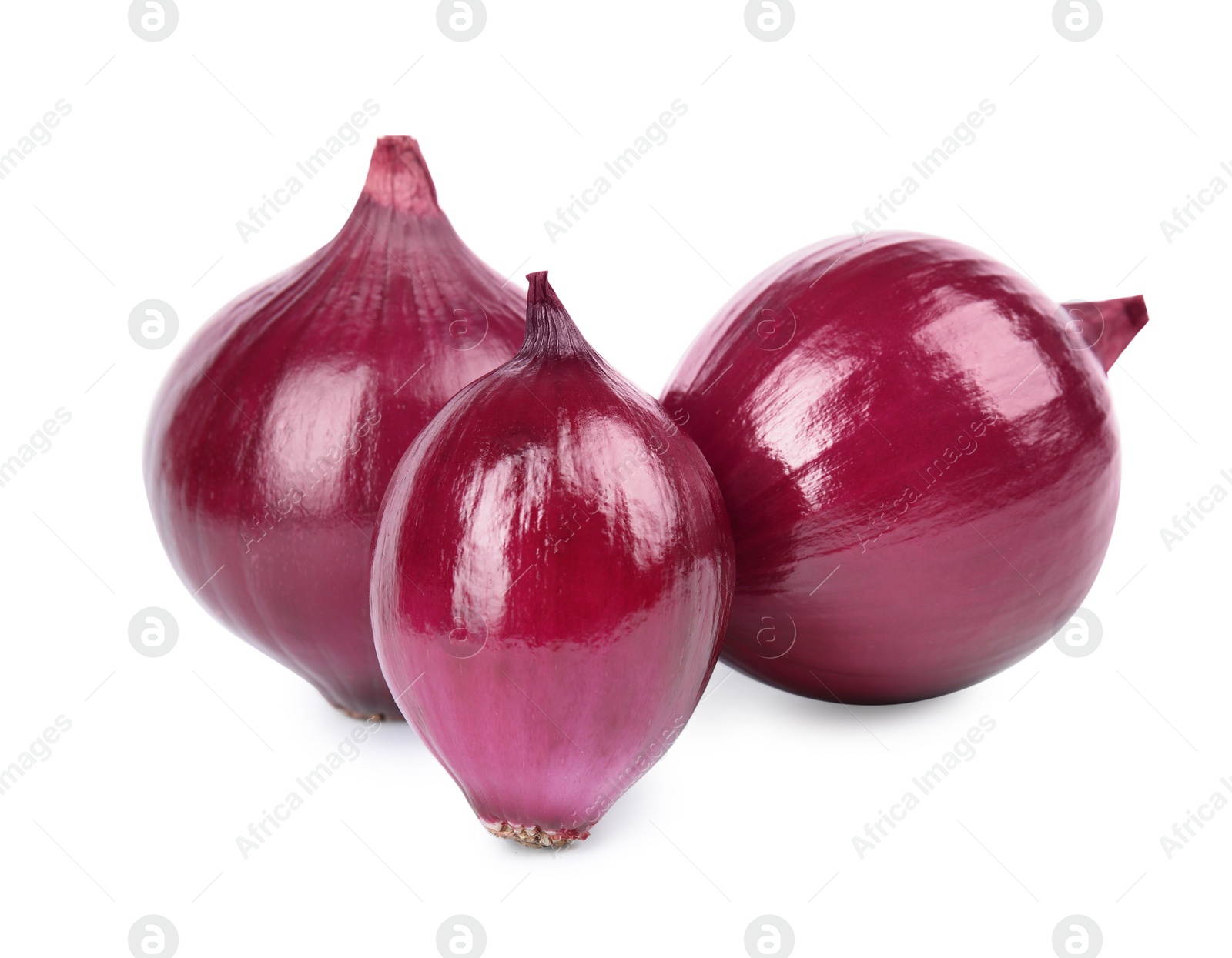 Photo of Fresh whole red onions on white background