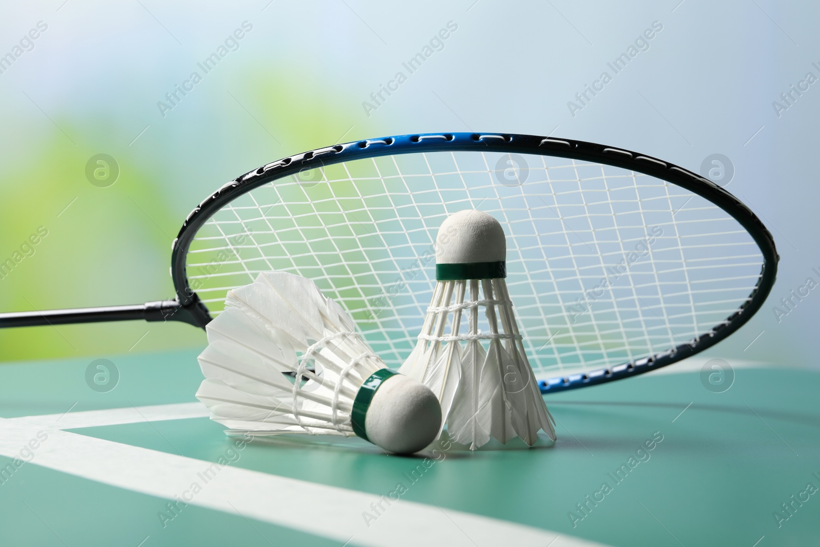 Photo of Feather badminton shuttlecocks and racket on green table against blurred background, closeup