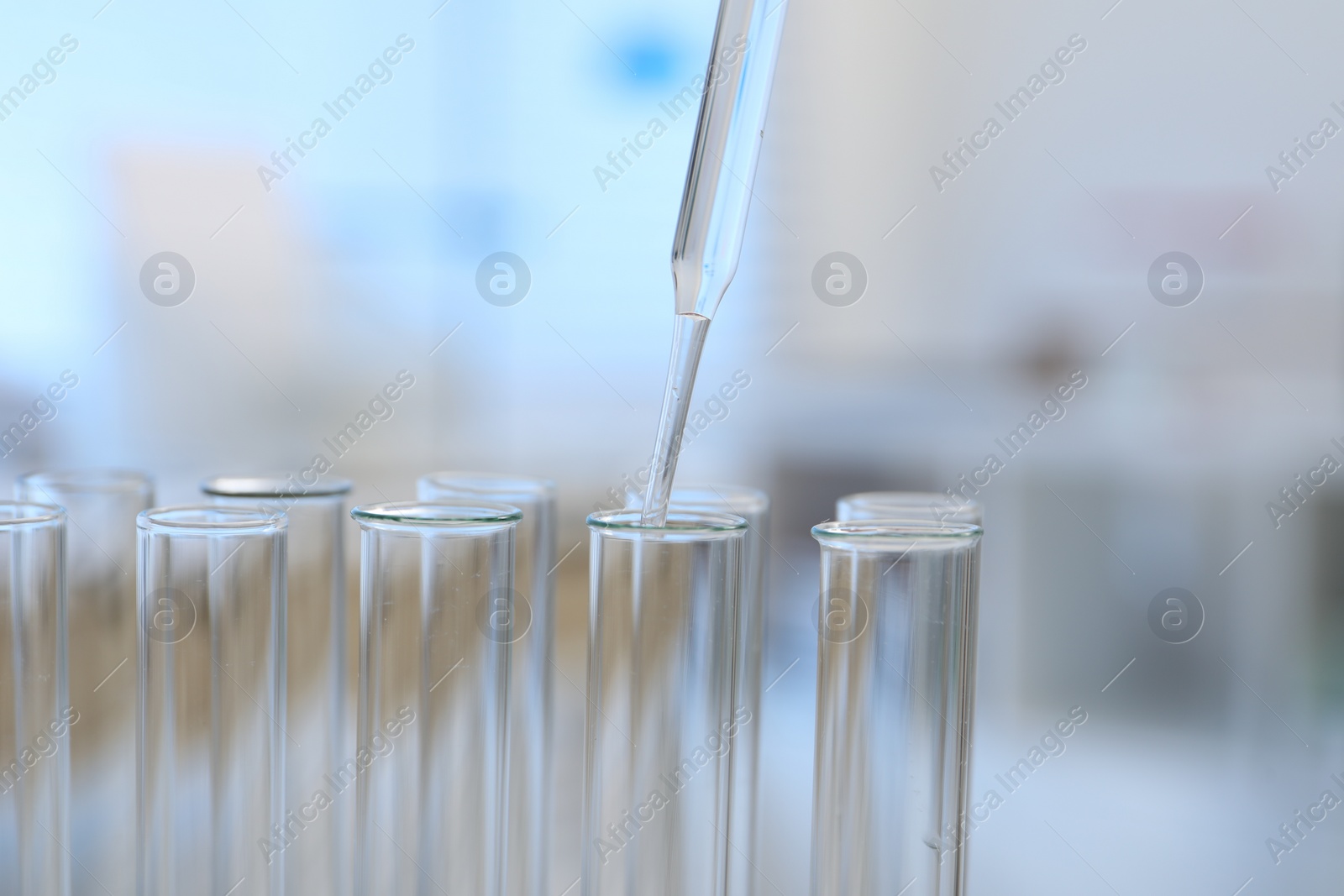 Photo of Laboratory analysis. Dripping liquid into test tubes indoors, closeup