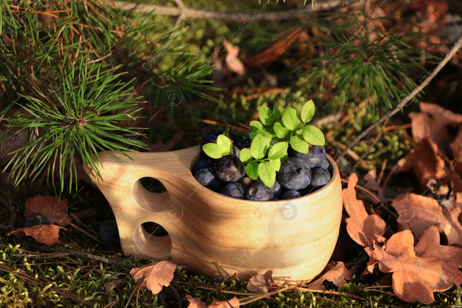 Photo of Wooden mug full of fresh ripe blueberries and lingonberries on grass