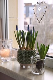 Beautiful bulbous plants and candles on windowsill indoors. Spring time