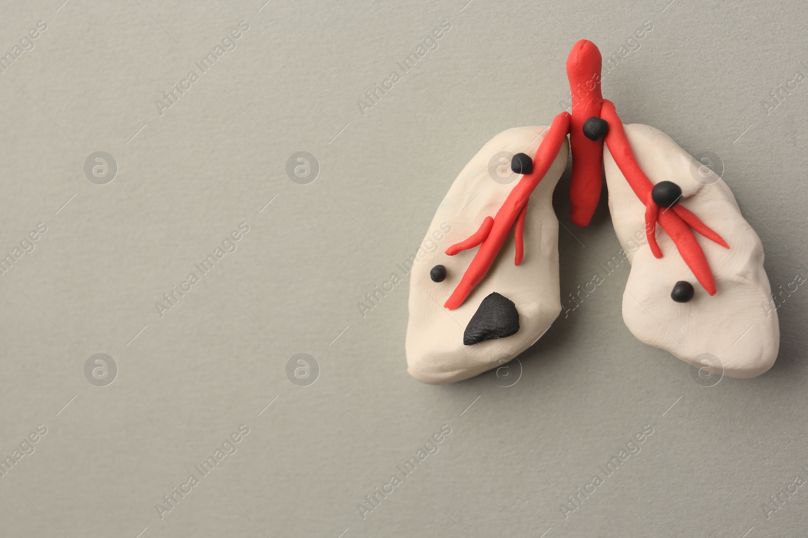 Photo of Human lungs made of plasticine on light grey background, top view and space for text. Respiratory disease concept